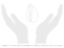 appIcon